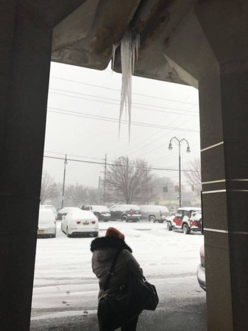 Подборка прикольных фото  (104 фото)