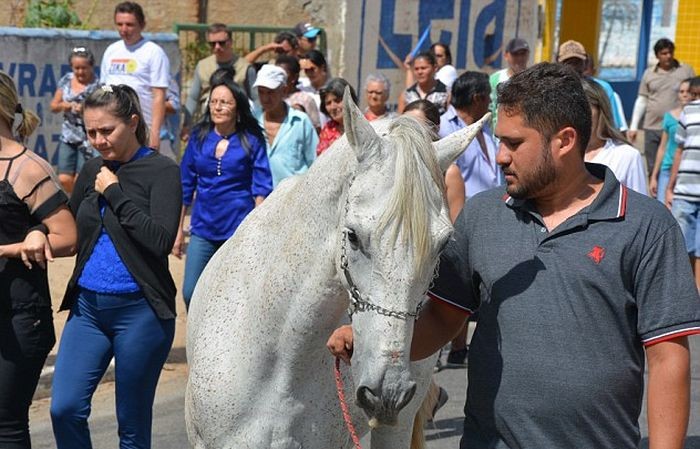 Душераздерающие фото: лошадь прощается со своим хозяином (5 фото)