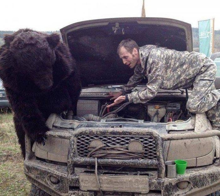 Дорожный юмор