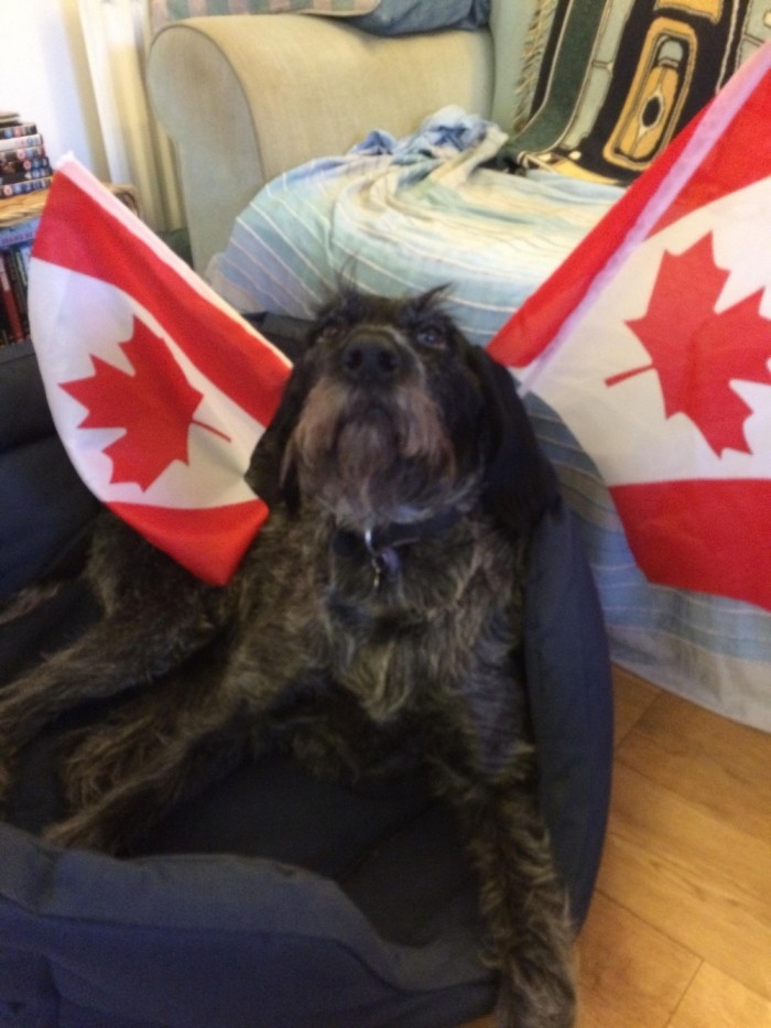 Странные снимки из Канады