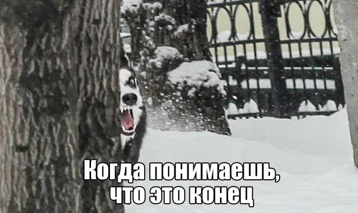 Подборка прикольных фото  (104 фото)