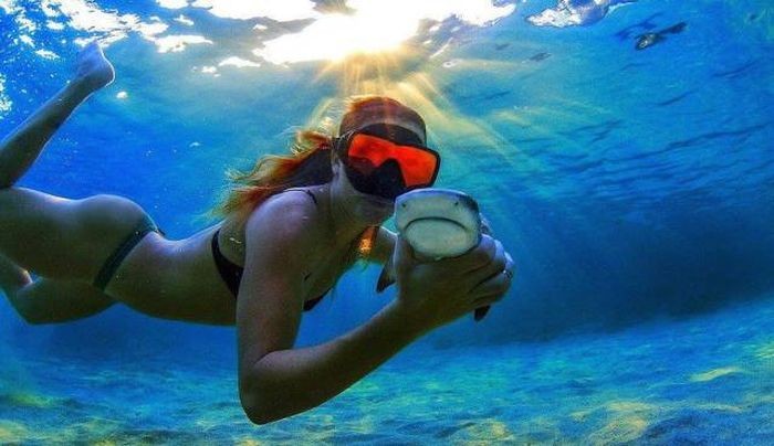 Подборка прикольных фото  (104 фото)