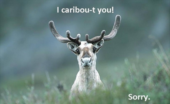 Странные снимки из Канады