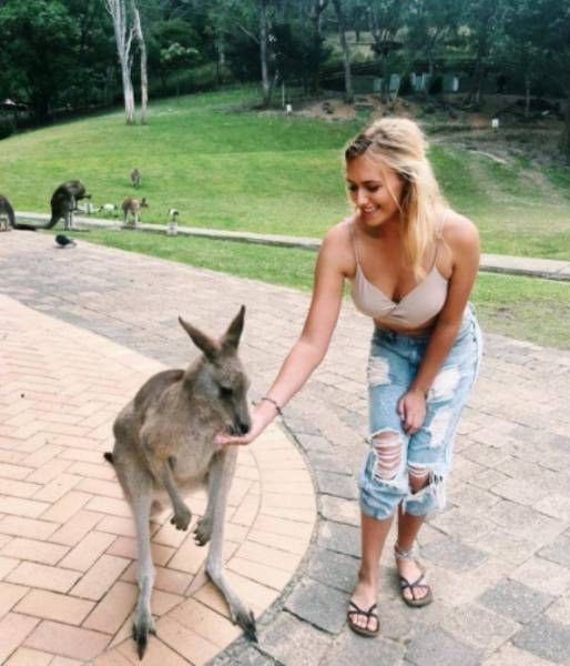 Подборка прикольных фото  (108 фото)