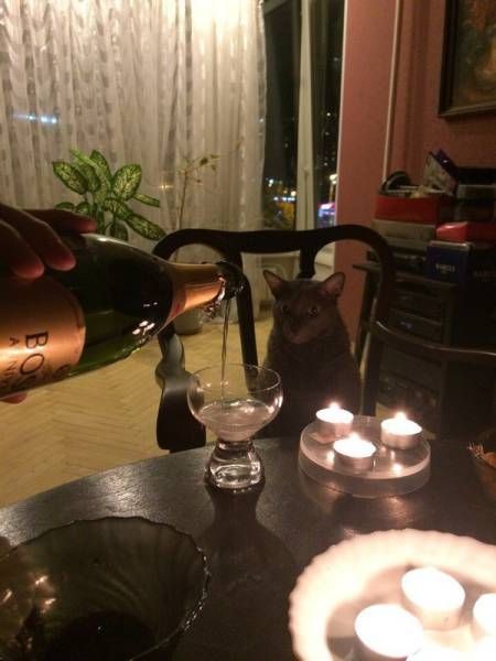 Подборка прикольных фото  (108 фото)