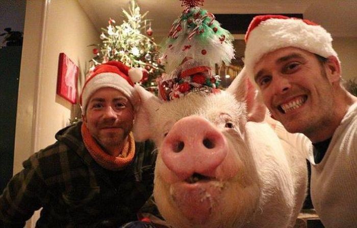 Подборка прикольных фото  (108 фото)