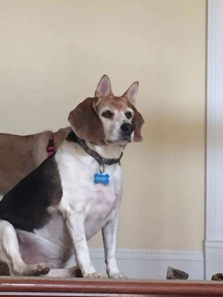 Подборка прикольных фото  (108 фото)