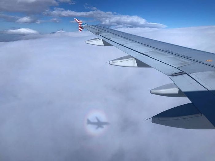 Подборка прикольных фото  (108 фото)