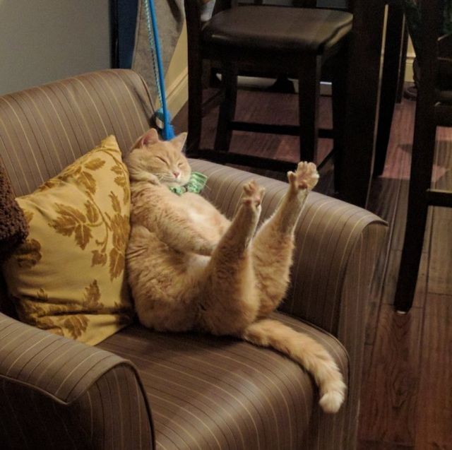 Подборка прикольных фото  (108 фото)