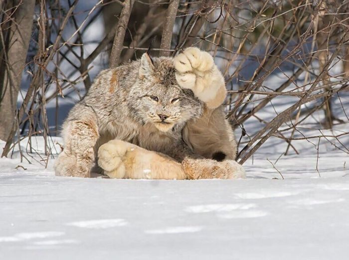 Подборка прикольных фото  (106 фото)