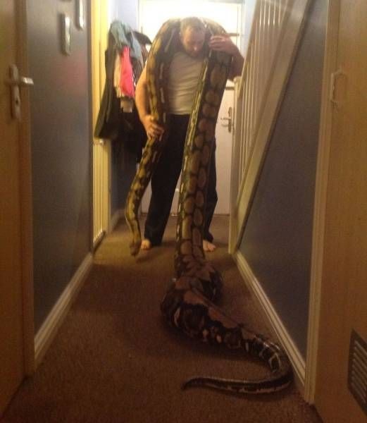 Подборка прикольных фото  (106 фото)