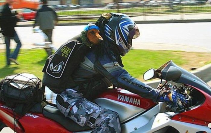 Подборка прикольных фото  (106 фото)