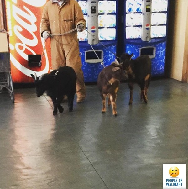 Экстравагантные покупатели Walmart