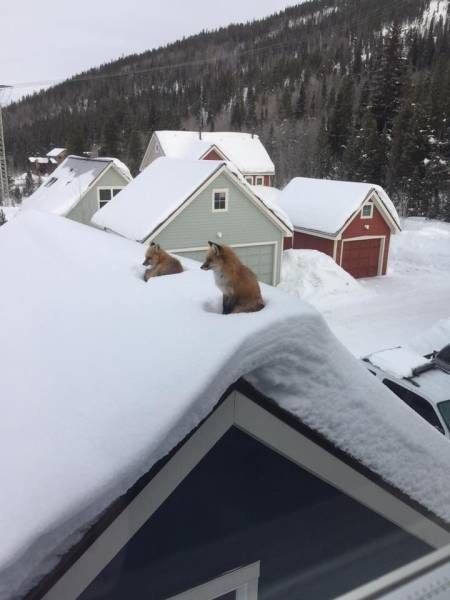 Подборка прикольных фото  (142 фото)