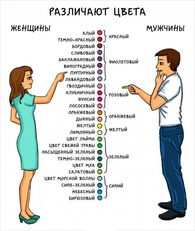 Чем отличаются друг от друга мужчины и женщины