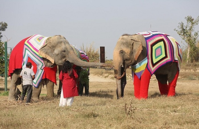 Пижамы для слонов