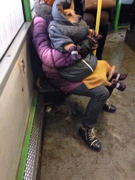 Подборка прикольных фото  (102 фото)