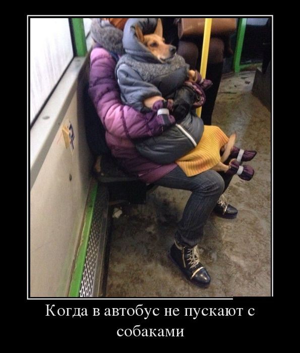 Демотиваторы (30 фото)