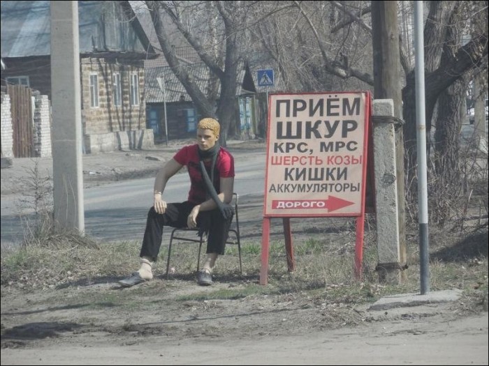 Прикольные надписи и объявления