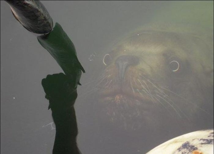 Подборка прикольных фото  (127 фото)