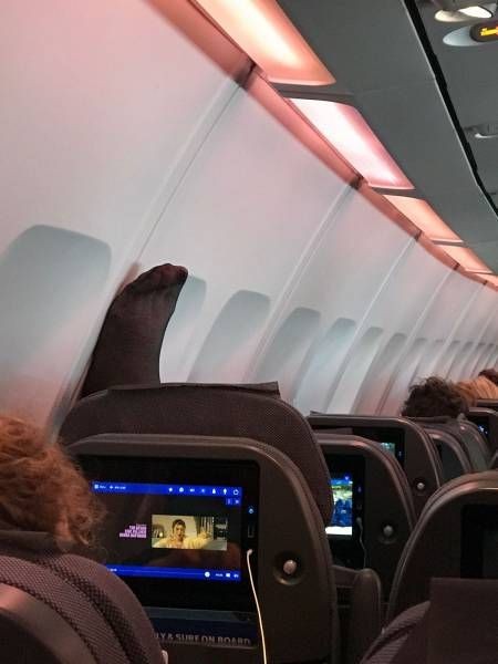 Подборка прикольных фото  (109 фото)