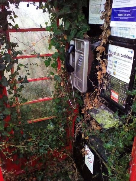 Подборка прикольных фото  (109 фото)