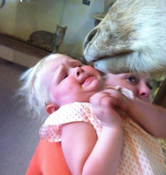 Подборка прикольных фото  (109 фото)