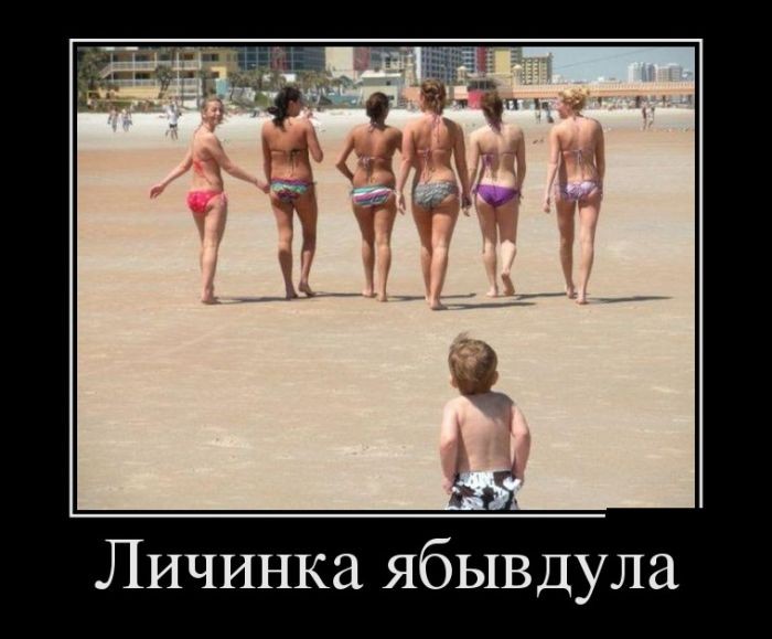 Демотиваторы (30 фото)