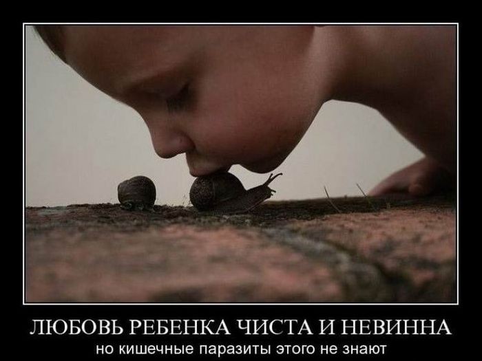 Демотиваторы (30 фото)