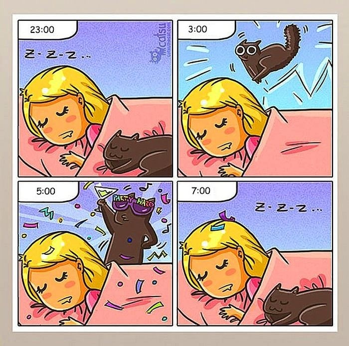 Проблемы жизни с котом в забавном комиксе