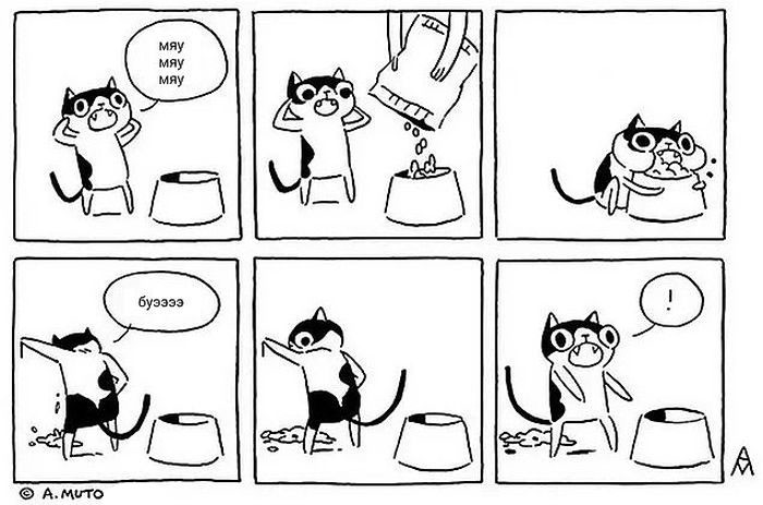 Проблемы жизни с котом в забавном комиксе