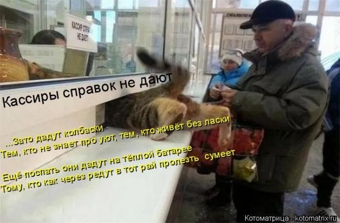 Забавные котоматрицы