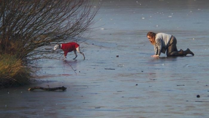 Спасение провалившейся под лед собаки