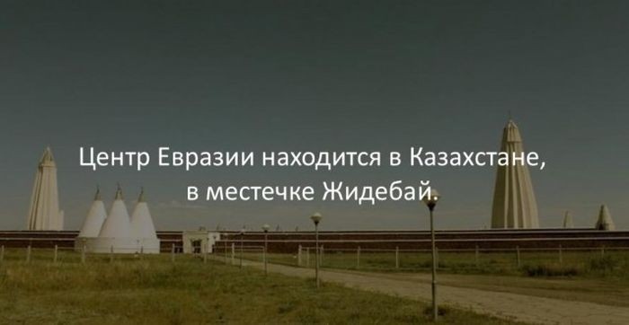 Интересные факты