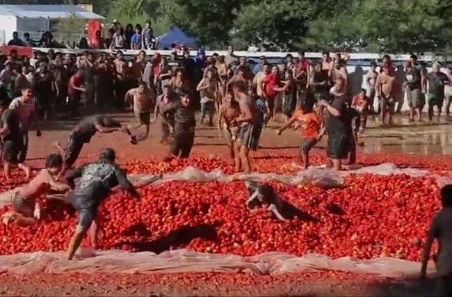 Битва помидорами в Чили