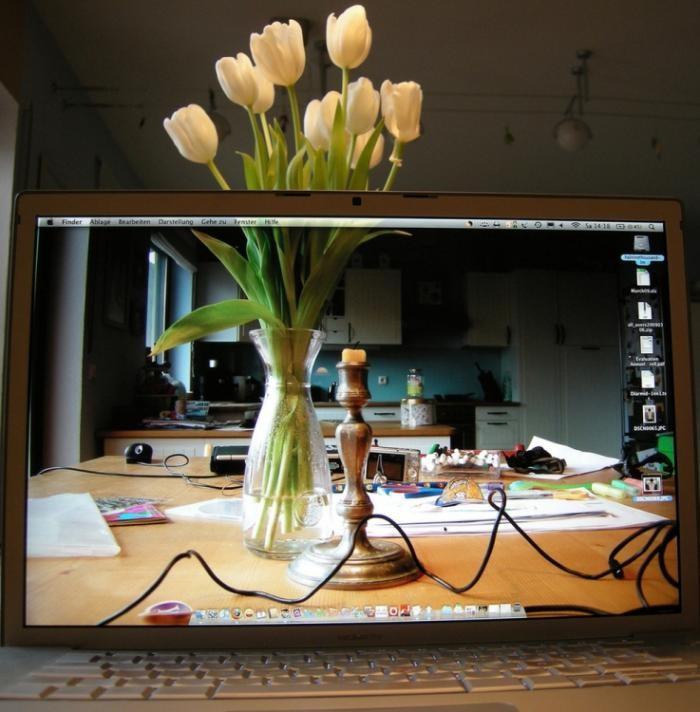 Прозрачный экран (22 фото)