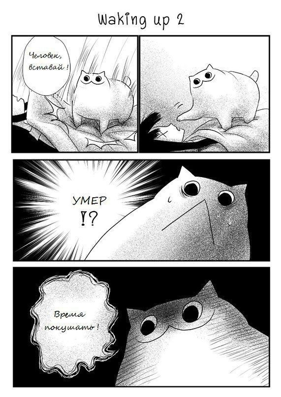 Смешные комиксы