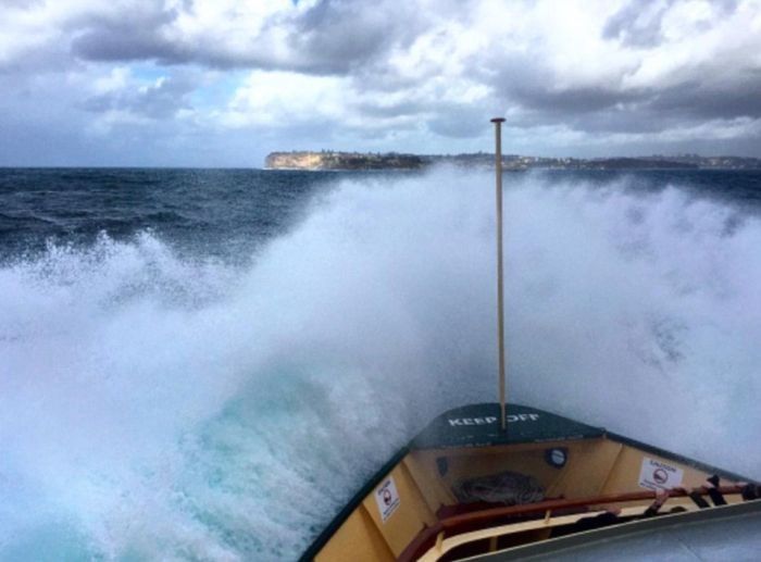 Сильные волны в гавани Сиднея (8 фото)