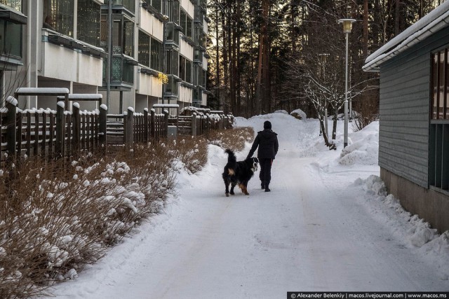 Как живут в спальных районах Финляндии (34 фото)