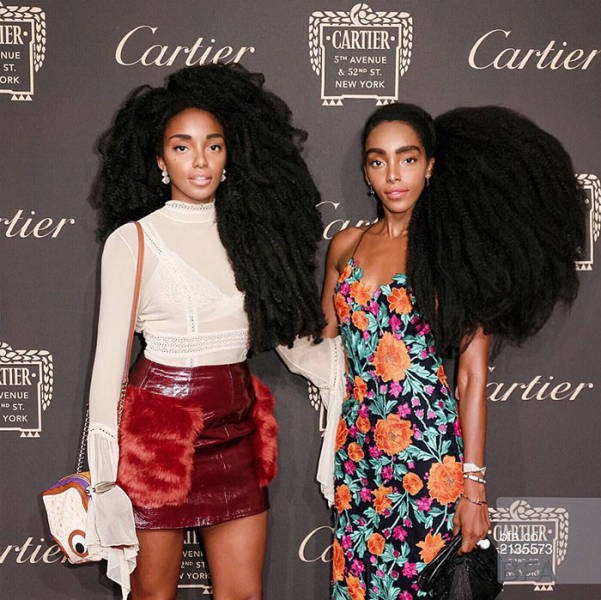 Роскошные волосы принесли успех сестрам-близнецам (17 фото)