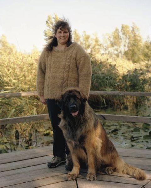 Последний писк моды свитера из шерсти собственной собаки (9 фото)