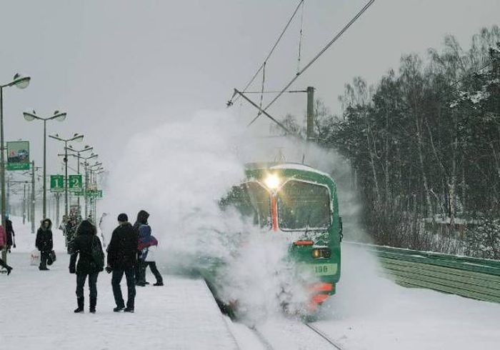 Подборка прикольных фото  (104 фото)