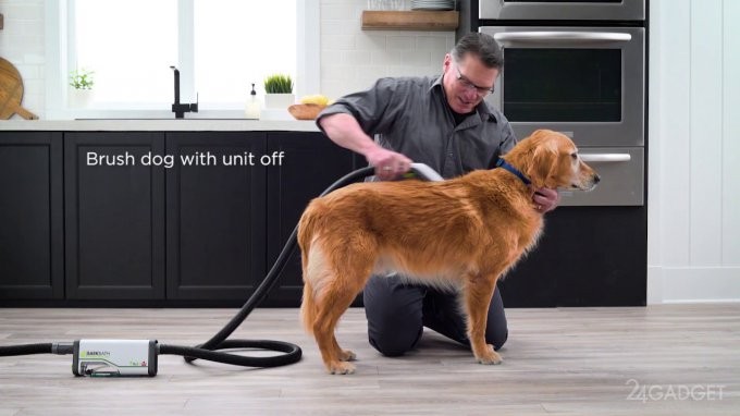 Новый гаджет в разы упрощает процесс мытья собаки (5 фото + видео)