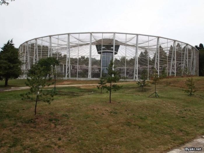 Фотоэкскурсия по главному зоопарку Северной Кореи (22 фото)
