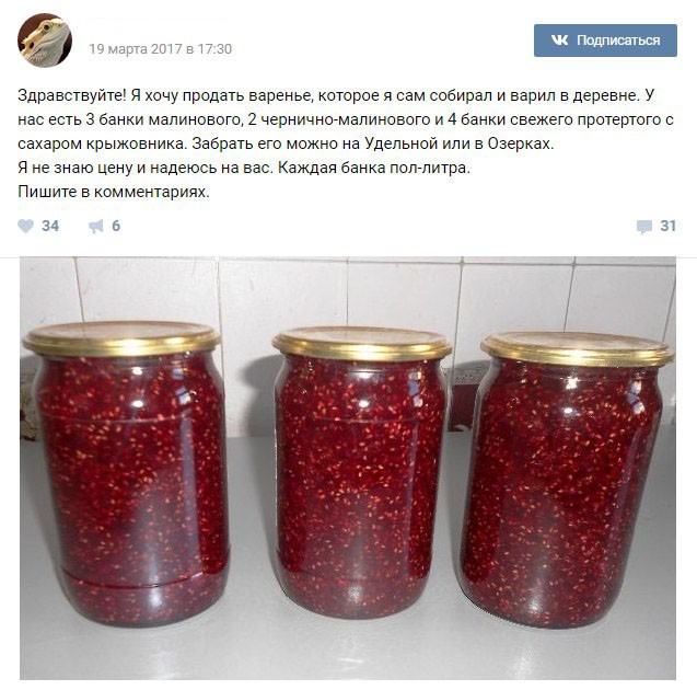 Мальчик из Санкт-Петербурга продал варенье, чтобы купить ящерицу (3 фото)