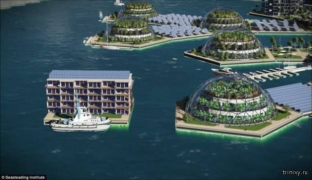 Разработан проект первого в мире города на воде