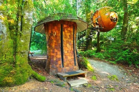 Оригинальный отель в лесу на острове Ванкувер (10 фото)