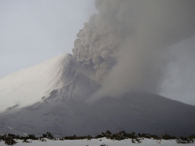 Извержение вулкана Камбальный на Камчатке (5 фото)