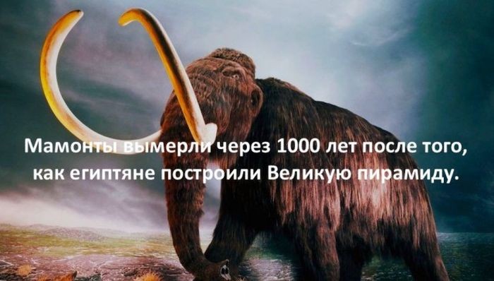 Интересные факты для любознательных (30 фото)