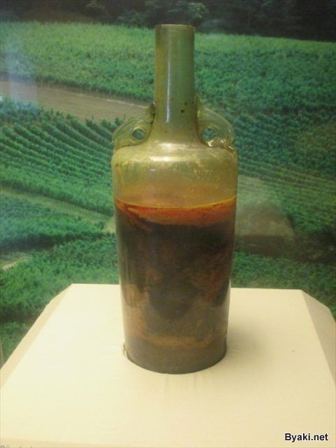 Бутылка с вином, которому почти семнадцать веков (3 фото)